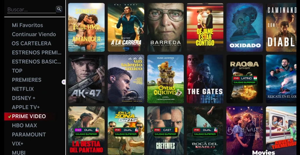 ROKU ESTILO NETFLIX - Catálogo de Películas